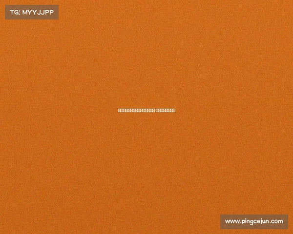 维特塞尔即将加盟赫罗纳签约两年 合同细节即将敲定